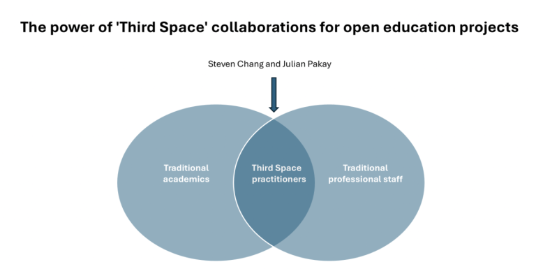 A venn diagram of the third space